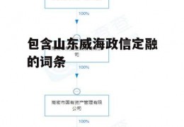 包含山东威海政信定融的词条