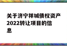 关于济宁祥城债权资产2022转让项目的信息