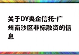 关于DY央企信托-广州南沙区非标融资的信息