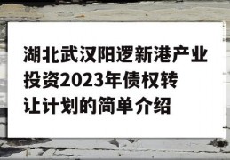 湖北武汉阳逻新港产业投资2023年债权转让计划的简单介绍
