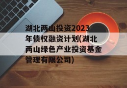 湖北两山投资2023年债权融资计划(湖北两山绿色产业投资基金管理有限公司)