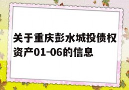 关于重庆彭水城投债权资产01-06的信息