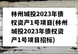 林州城投2023年债权资产1号项目(林州城投2023年债权资产1号项目招标)