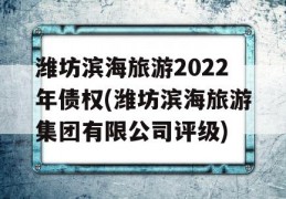 潍坊滨海旅游2022年债权(潍坊滨海旅游集团有限公司评级)