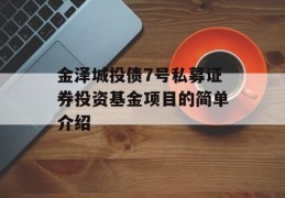 金泽城投债7号私募证券投资基金项目的简单介绍