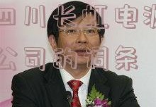 包含四川长虹电源有限责任公司的词条