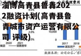 淄博高青县鲁青2022融资计划(高青县鲁青城市资产运营有限公司 评级)