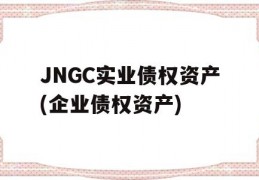 JNGC实业债权资产(企业债权资产)