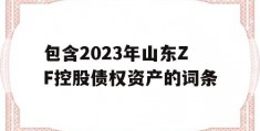 包含2023年山东ZF控股债权资产的词条