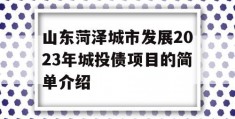 山东菏泽城市发展2023年城投债项目的简单介绍