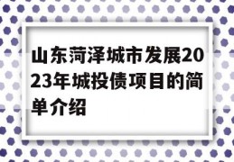 山东菏泽城市发展2023年城投债项目的简单介绍