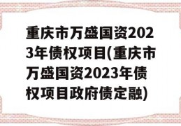 重庆市万盛国资2023年债权项目(重庆市万盛国资2023年债权项目政府债定融)