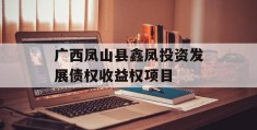 广西凤山县鑫凤投资发展债权收益权项目