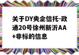 关于DY央企信托-政通20号徐州新沂AA+非标的信息