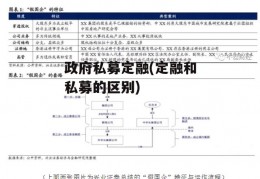 政府私募定融(定融和私募的区别)