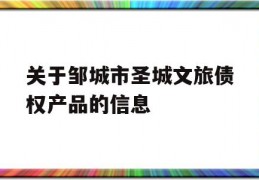 关于邹城市圣城文旅债权产品的信息