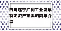 四川遂宁广利工业发展特定资产拍卖的简单介绍