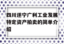 四川遂宁广利工业发展特定资产拍卖的简单介绍