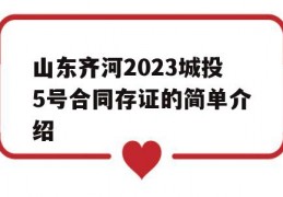 山东齐河2023城投5号合同存证的简单介绍