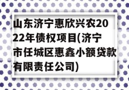 山东济宁惠欣兴农2022年债权项目(济宁市任城区惠鑫小额贷款有限责任公司)