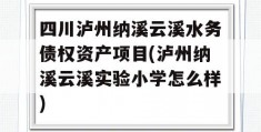 四川泸州纳溪云溪水务债权资产项目(泸州纳溪云溪实验小学怎么样)