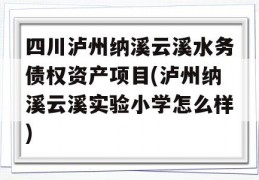 四川泸州纳溪云溪水务债权资产项目(泸州纳溪云溪实验小学怎么样)