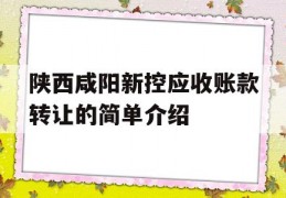 陕西咸阳新控应收账款转让的简单介绍