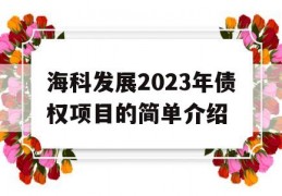 海科发展2023年债权项目的简单介绍