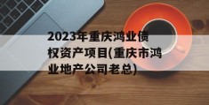 2023年重庆鸿业债权资产项目(重庆市鸿业地产公司老总)