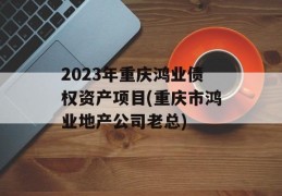 2023年重庆鸿业债权资产项目(重庆市鸿业地产公司老总)