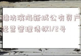 潍坊滨海新城公有资产经营管理债权1/2号