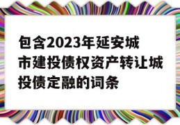 包含2023年延安城市建投债权资产转让城投债定融的词条