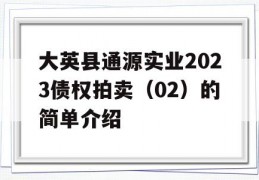 大英县通源实业2023债权拍卖（02）的简单介绍