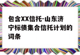 包含XX信托-山东济宁标债集合信托计划的词条