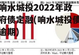 响水城投2022年政府债定融(响水城投债逾期)