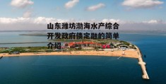 山东潍坊渤海水产综合开发政府债定融的简单介绍