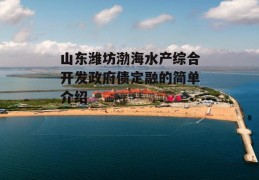 山东潍坊渤海水产综合开发政府债定融的简单介绍