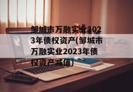 邹城市万融实业2023年债权资产(邹城市万融实业2023年债权资产减值)