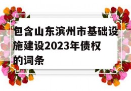 包含山东滨州市基础设施建设2023年债权的词条