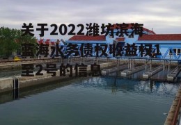 关于2022潍坊滨海蓝海水务债权收益权1至2号的信息