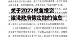 关于2022兴鱼投资建设政府债定融的信息