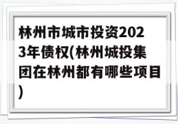 林州市城市投资2023年债权(林州城投集团在林州都有哪些项目)