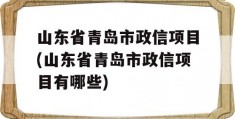 山东省青岛市政信项目(山东省青岛市政信项目有哪些)