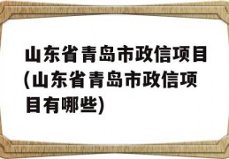 山东省青岛市政信项目(山东省青岛市政信项目有哪些)