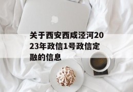 关于西安西咸泾河2023年政信1号政信定融的信息