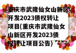 重庆市武隆仙女山新区开发2023债权转让项目(重庆市武隆仙女山新区开发2023债权转让项目公告)