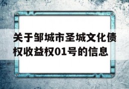 关于邹城市圣城文化债权收益权01号的信息