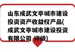 山东成武文亭城市建设投资资产收益权产品(成武文亭城市建设投资有限公司 评级)