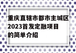 重庆直辖市都市主城区2023首发定融项目的简单介绍