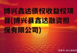 博兴鑫达债权收益权项目(博兴县鑫达融资担保有限公司)